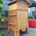 warré hive, just put 2,5 kg of young bees in it!