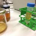 honing / ultrasoon solvent extractie met dichloormethaan