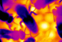 colorcodedbeehive:thermal2small.png