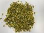 mulhouse:research:tinctoriale:solidago-1.jpeg