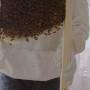 mov4.beekeepers-a_g.jpg
