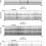 spectrograms-11-juni-1200.jpg